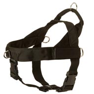 Dog Harness Nylon with Patches [H17##1037 Nylon harness with patches] :  Exclusive Dog Breed: Dog Harness, Muzzle, Collar, Leash, Dog Supplies