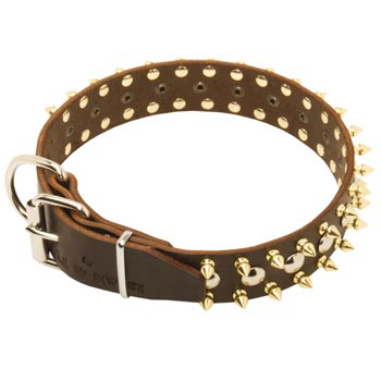 Leather Dog Collar with Rust-proof Decoration
