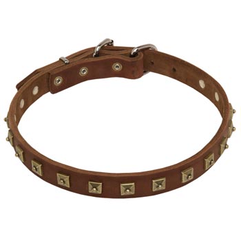 Dog Leather Collar For Walking And  Training in Style
