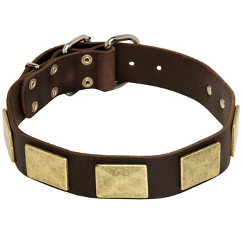Leather Dog Collar with Fashionable Studs