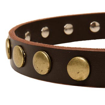 Designer Leather Dog Collar for Walking Dog