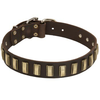 Leather Dog Collar Designer for Walking in Style