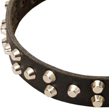 Leather Dog Collar Durable Stud Decorated