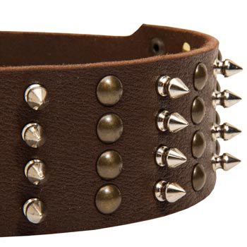 Dog Leather Collar with Rust-proof Fittings