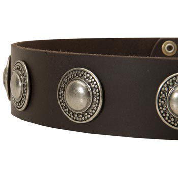 Leather Dog Collar with Conchos for   Dog