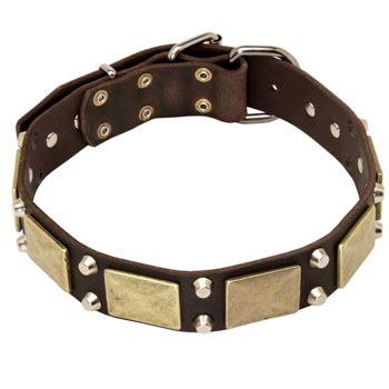 Nickel Studded Leather Dog Collar