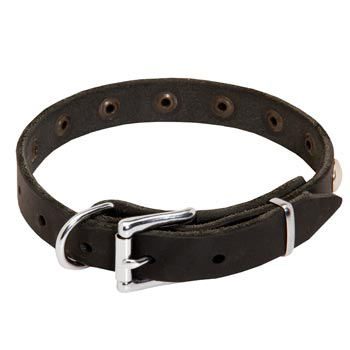 Leather Dog Puppy Collar with Steel Nickel Plated Studs for Dog