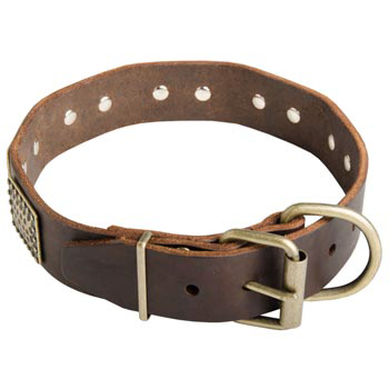 War-Style Leather Collar for Dog