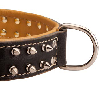 Padded Leather Dog Collar Spiked Adjustable for Training