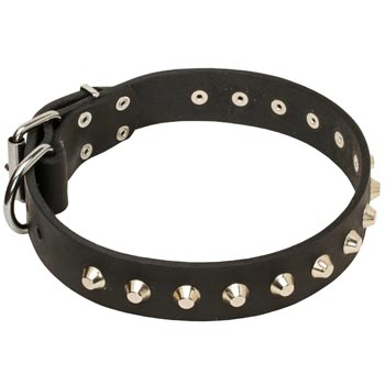 Soft Leather Dog Collar with Nickel Studs