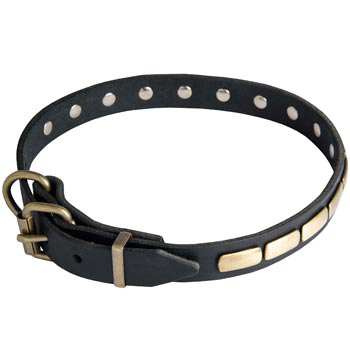 Dog Leather Dog Collar with Brass Buckle 