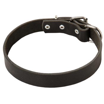 Leather Dog Collar Simple  Design for Dog