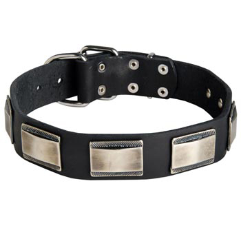 Leather Dog Collar with Solid Nickel Plates