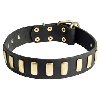 Dog Collar Leather with Brass Hardware