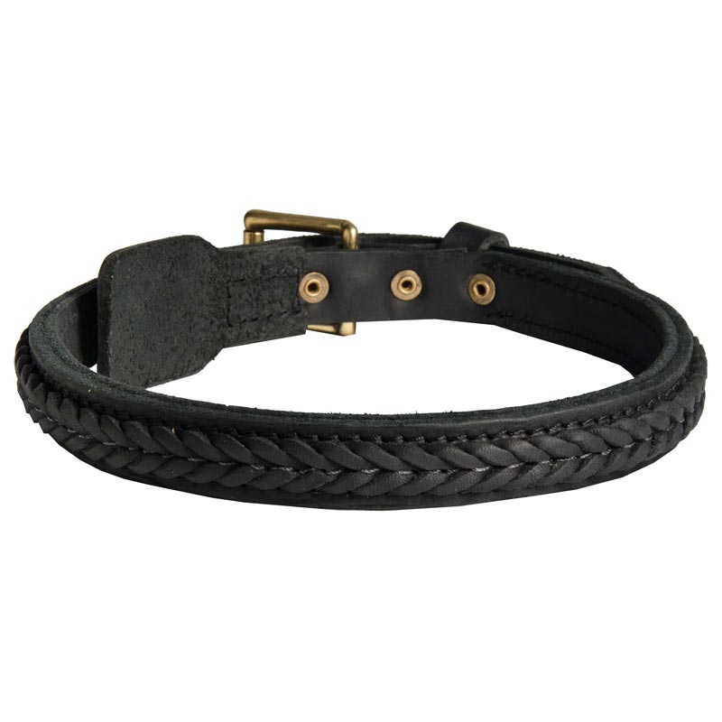Braided Leather - Dog Collar - Dog Lead