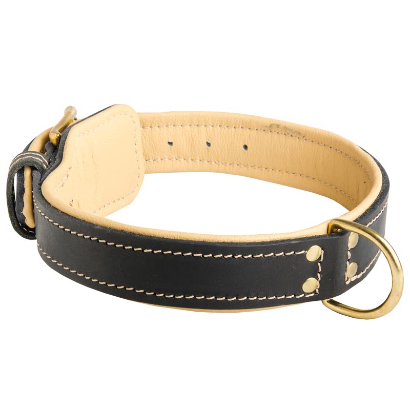 Russian dog hot sale collar