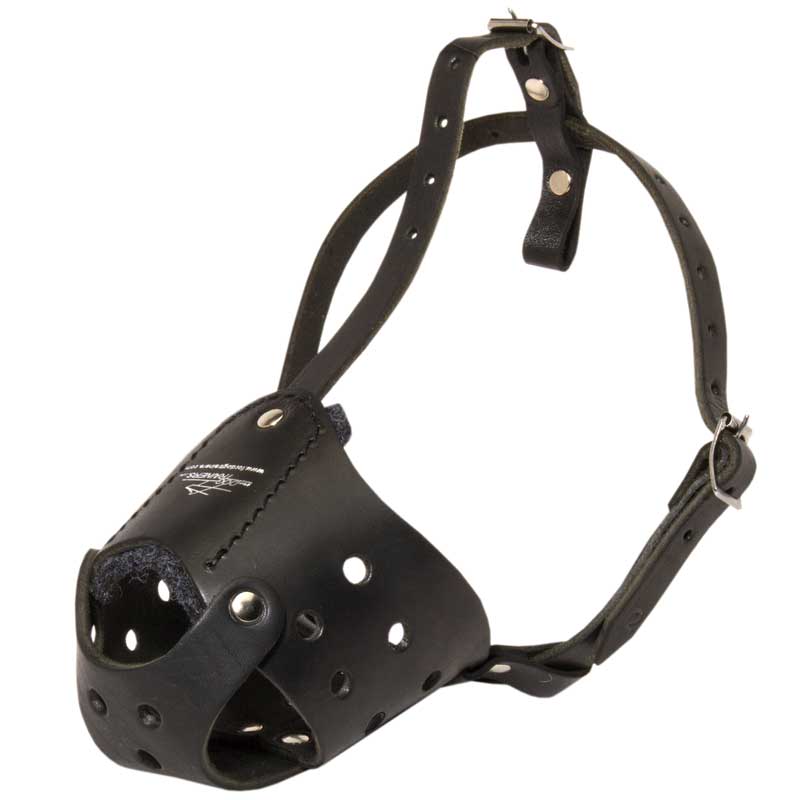 Dog training hotsell muzzle leash