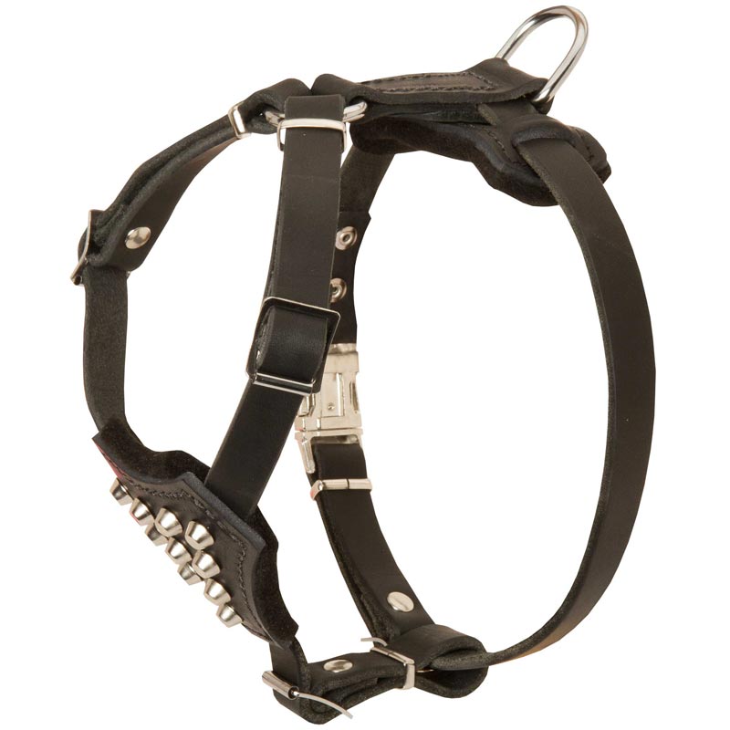 Leather studded outlet dog harness