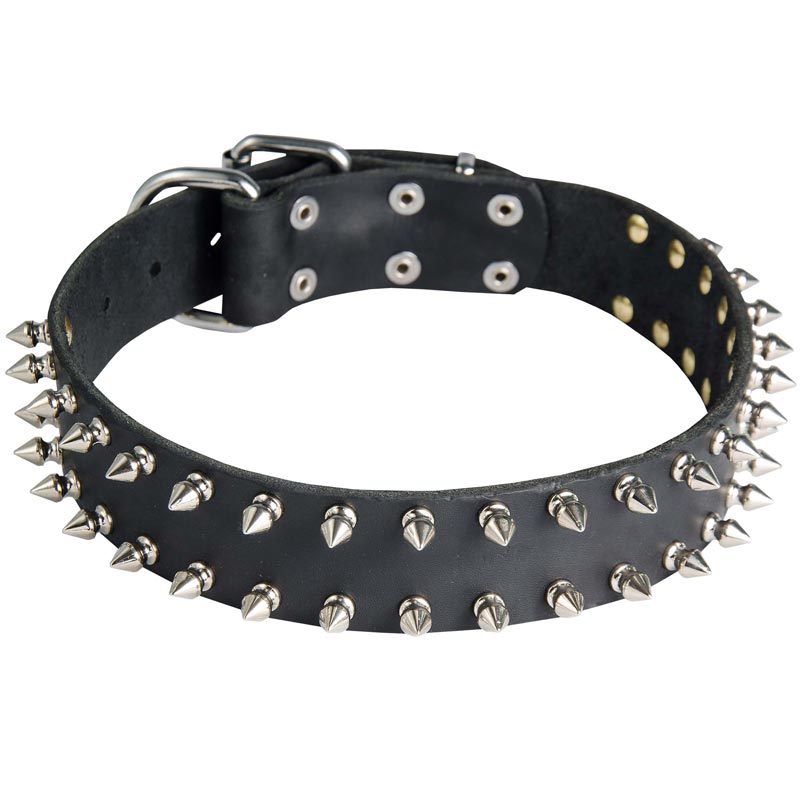 Leather Dog Collar with 2 Rows of Nickel Spikes [S33##1144 Leather ...