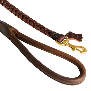 Braided Leather Dog Leash with Brass Snap Hook