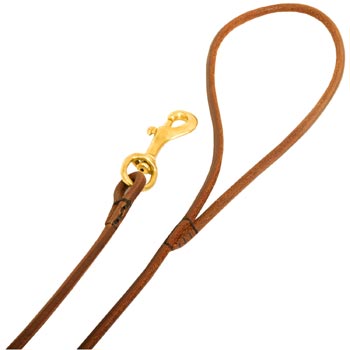 Leather Dog Leash with Comfy Round Hnadle