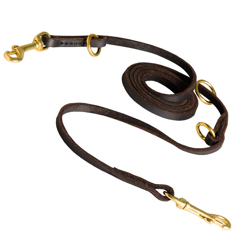 Multifunctional Leather Dog Leash for Walking and Training [L110E1144 ...